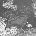 varalli.jpg Thumbnail