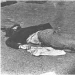 zibecchimorto2.jpg Thumbnail