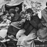 20e70b3d-6afd-47cc-87e1-58ba38a5fa1412medium.jpg Thumbnail