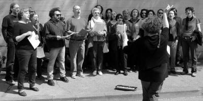 voci_arcutinate_risiera_25.04.2015.jpg
